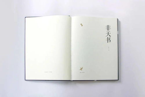 荐书丨《非天书》 传统文化中的精神性体验与文艺创作